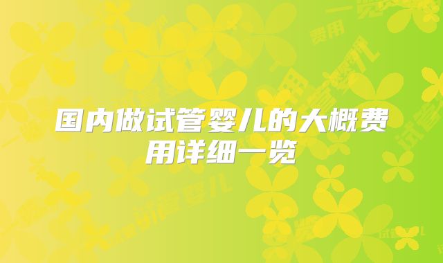 国内做试管婴儿的大概费用详细一览