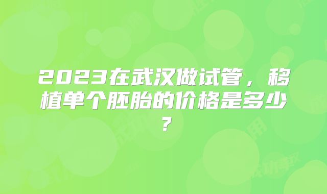 2023在武汉做试管，移植单个胚胎的价格是多少？