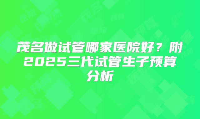 茂名做试管哪家医院好？附2025三代试管生子预算分析