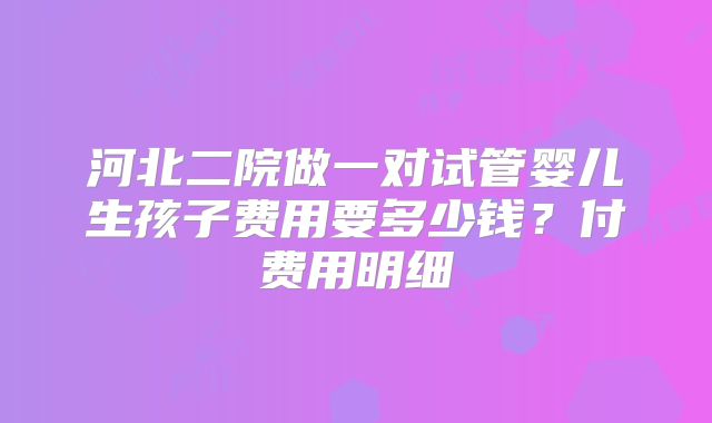 河北二院做一对试管婴儿生孩子费用要多少钱？付费用明细
