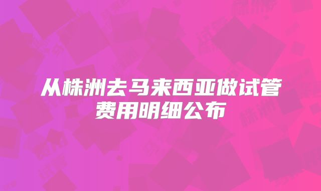 从株洲去马来西亚做试管费用明细公布