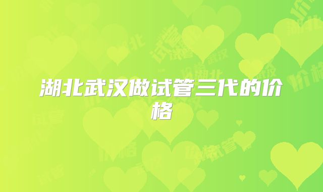 湖北武汉做试管三代的价格