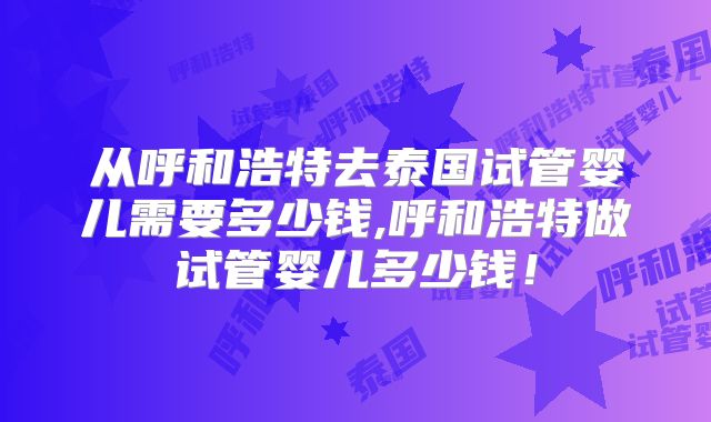 从呼和浩特去泰国试管婴儿需要多少钱,呼和浩特做试管婴儿多少钱！