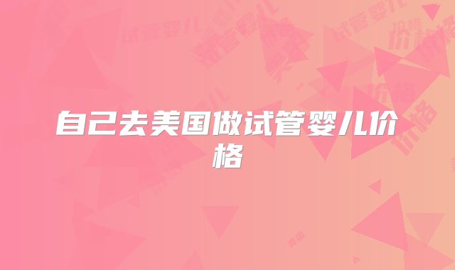 自己去美国做试管婴儿价格