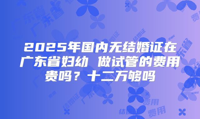 2025年国内无结婚证在广东省妇幼 做试管的费用贵吗?十二万够吗