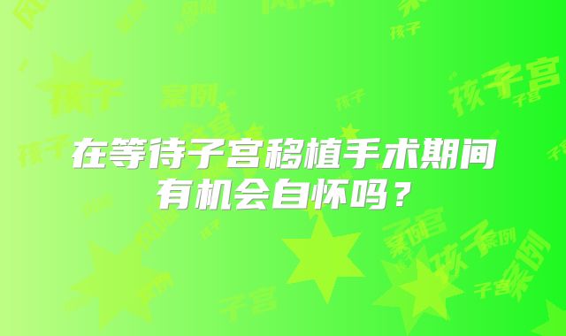 在等待子宫移植手术期间有机会自怀吗？