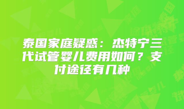 泰国家庭疑惑：杰特宁三代试管婴儿费用如何？支付途径有几种