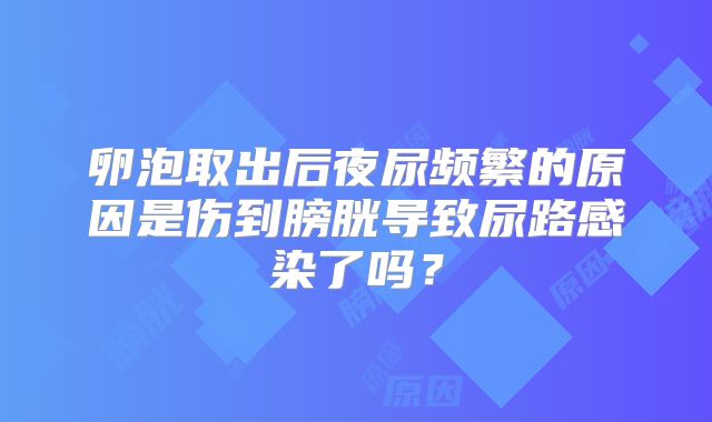 卵泡取出后夜尿频繁的原因是伤到膀胱导致尿路感染了吗？