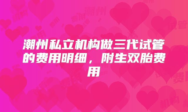潮州私立机构做三代试管的费用明细，附生双胎费用