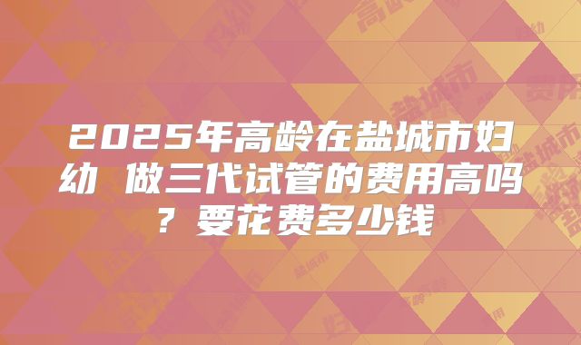 2025年高龄在盐城市妇幼 做三代试管的费用高吗?要花费多少钱