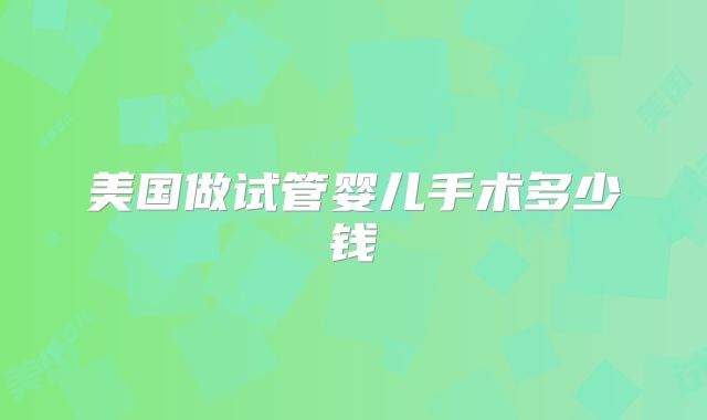 美国做试管婴儿手术多少钱