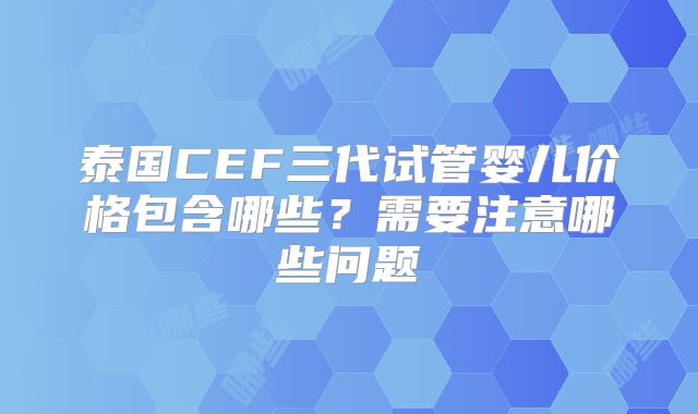 泰国CEF三代试管婴儿价格包含哪些？需要注意哪些问题