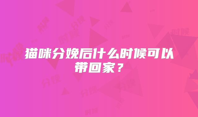 猫咪分娩后什么时候可以带回家?