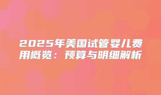 2025年美国试管婴儿费用概览:预算与明细解析