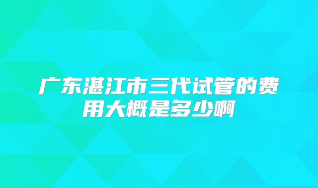 广东湛江市三代试管的费用大概是多少啊