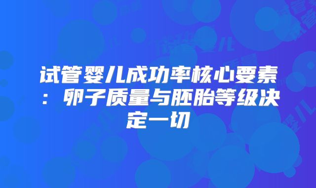 试管婴儿成功率核心要素：卵子质量与胚胎等级决定一切