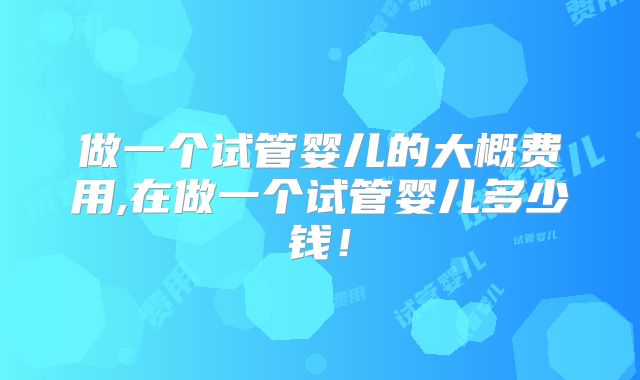 做一个试管婴儿的大概费用,在做一个试管婴儿多少钱！
