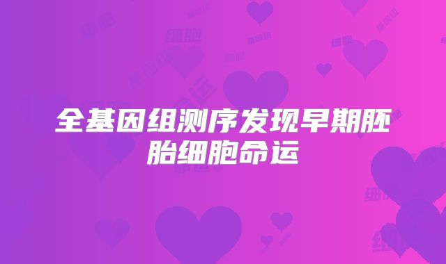 全基因组测序发现早期胚胎细胞命运