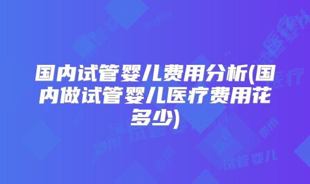 国内试管婴儿费用分析(国内做试管婴儿医疗费用花多少)