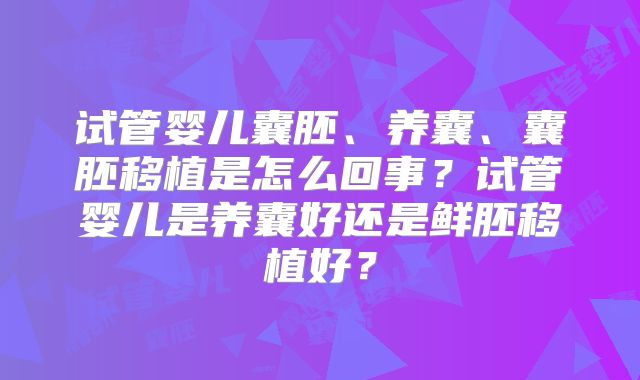 试管婴儿囊胚、养囊、囊胚移植是怎么回事？试管婴儿是养囊好还是鲜胚移植好？