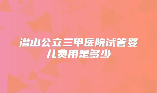 潜山公立三甲医院试管婴儿费用是多少