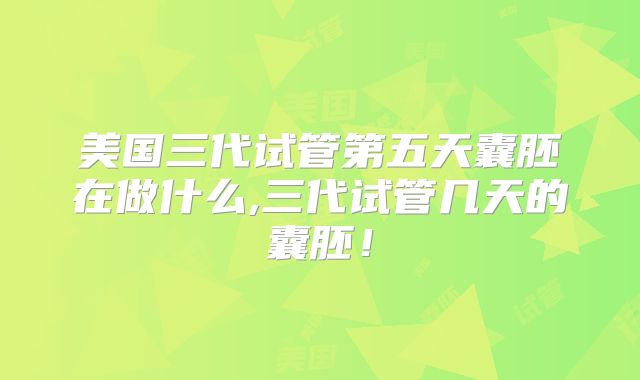 美国三代试管第五天囊胚在做什么,三代试管几天的囊胚！