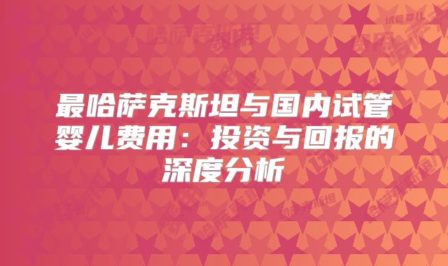最哈萨克斯坦与国内试管婴儿费用：投资与回报的深度分析