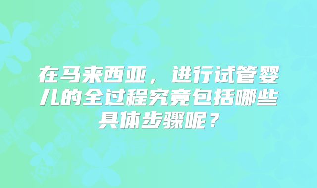 在马来西亚，进行试管婴儿的全过程究竟包括哪些具体步骤呢？