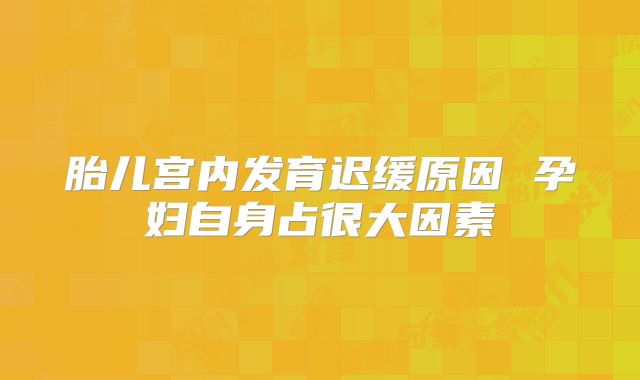 胎儿宫内发育迟缓原因 孕妇自身占很大因素