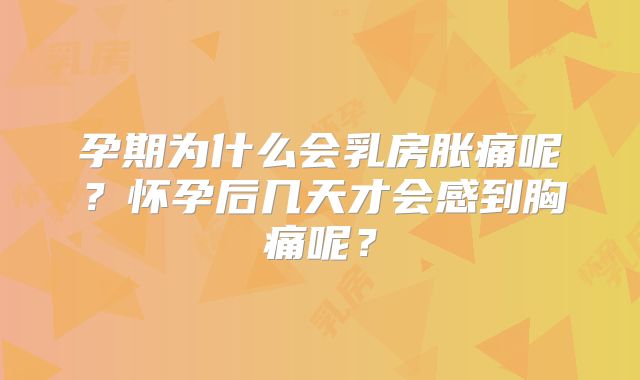 孕期为什么会乳房胀痛呢？怀孕后几天才会感到胸痛呢？