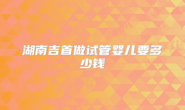 湖南吉首做试管婴儿要多少钱