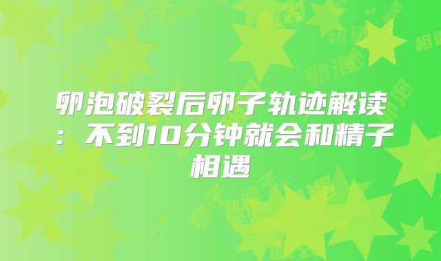 卵泡破裂后卵子轨迹解读:不到10分钟就会和精子相遇