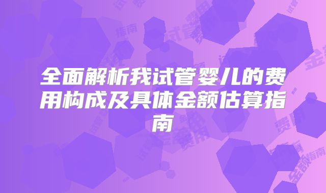 全面解析我试管婴儿的费用构成及具体金额估算指南