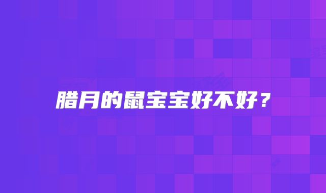 腊月的鼠宝宝好不好?