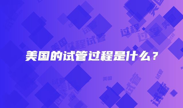 美国的试管过程是什么？