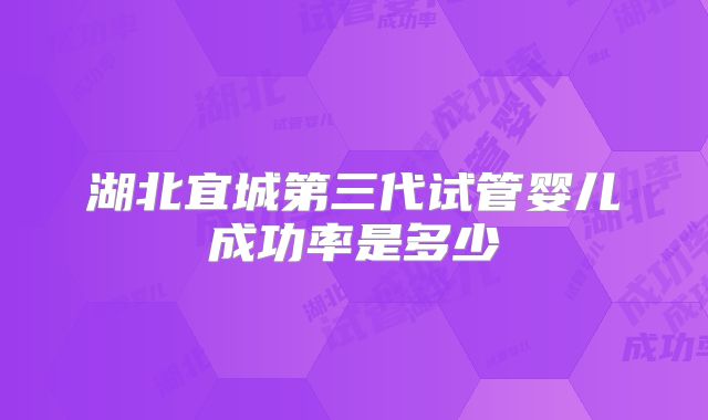 湖北宜城第三代试管婴儿成功率是多少