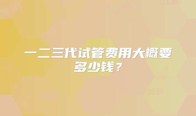 一二三代试管费用大概要多少钱？