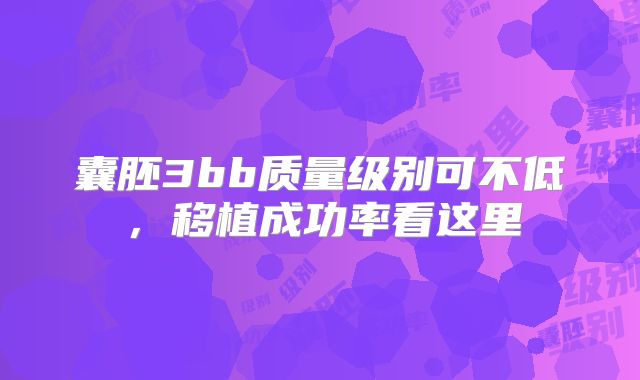 囊胚3bb质量级别可不低，移植成功率看这里