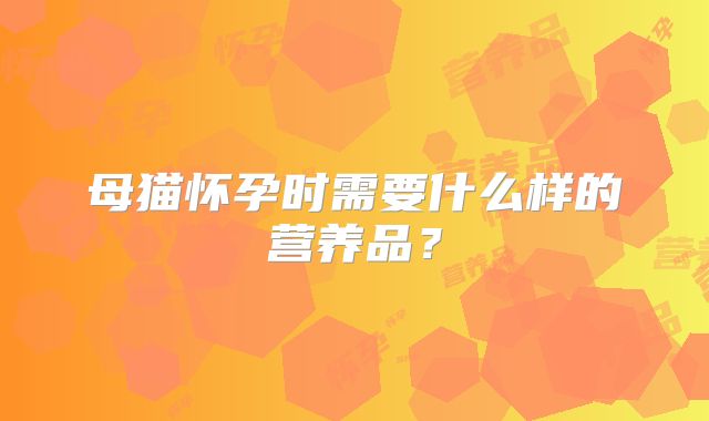 母猫怀孕时需要什么样的营养品？
