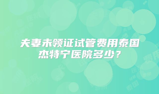 夫妻未领证试管费用泰国杰特宁医院多少？