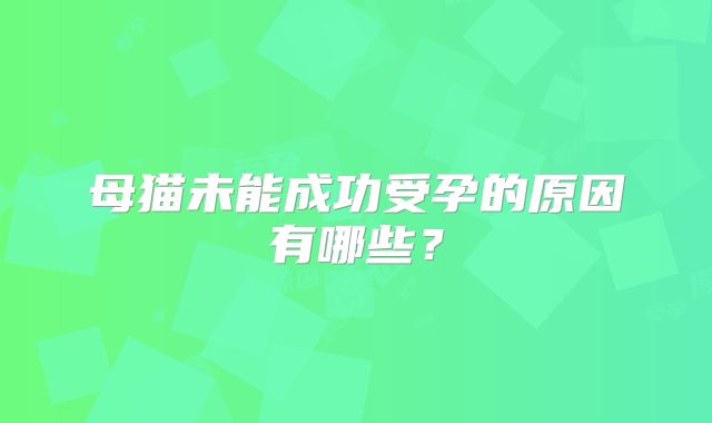 母猫未能成功受孕的原因有哪些?