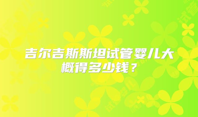 吉尔吉斯斯坦试管婴儿大概得多少钱?