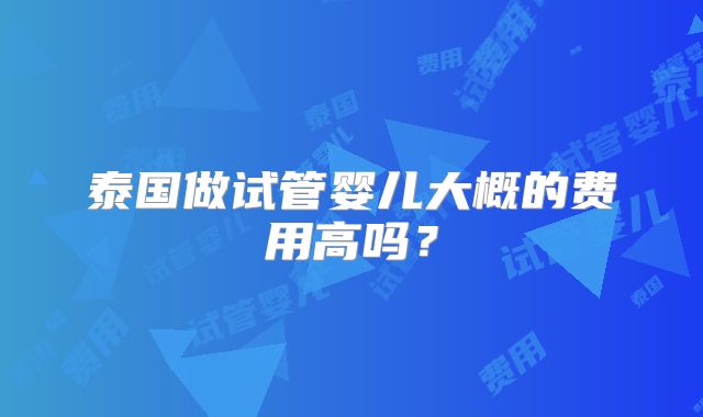 泰国做试管婴儿大概的费用高吗?