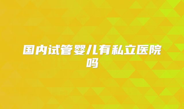 国内试管婴儿有私立医院吗