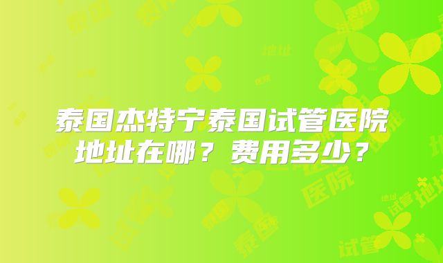 泰国杰特宁泰国试管医院地址在哪?费用多少?