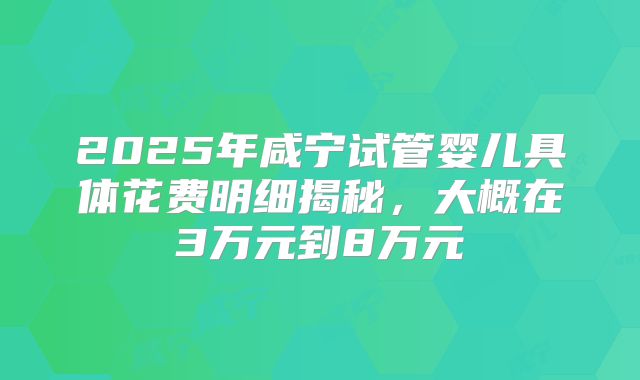 2025年咸宁试管婴儿具体花费明细揭秘，大概在3万元到8万元