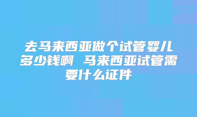 去马来西亚做个试管婴儿多少钱啊 马来西亚试管需要什么证件