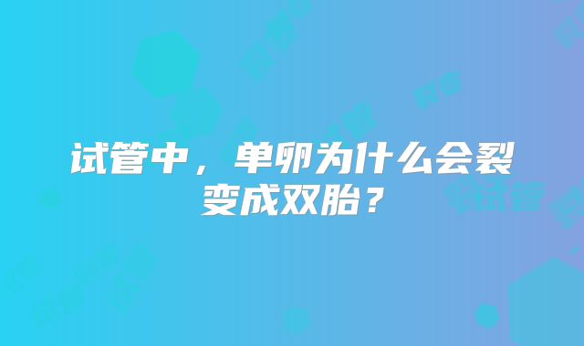 试管中,单卵为什么会裂变成双胎?