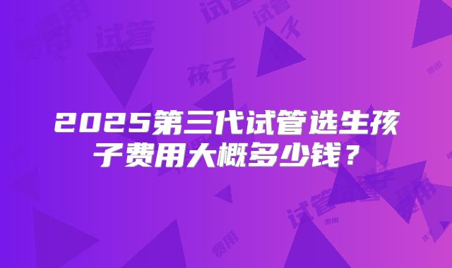 2025第三代试管选生孩子费用大概多少钱？