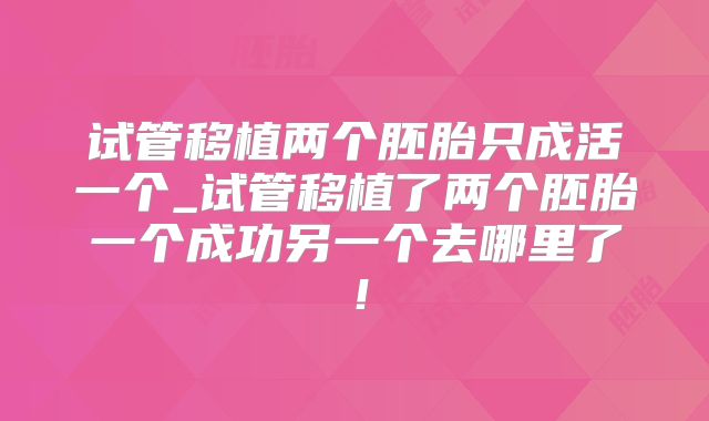 试管移植两个胚胎只成活一个_试管移植了两个胚胎一个成功另一个去哪里了！